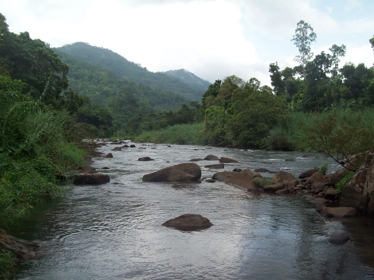 Forested landscape along the Kelani River at Kitulgala