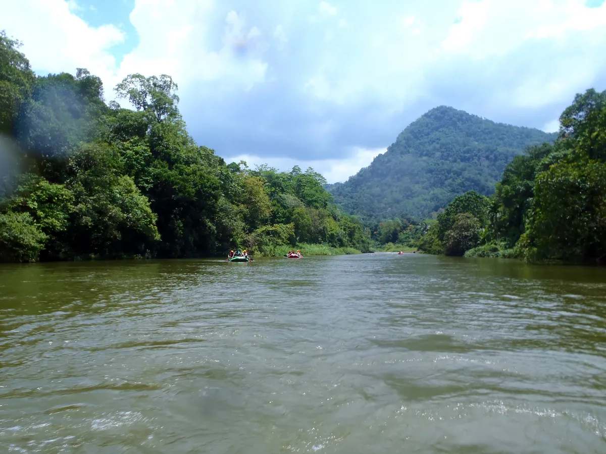 A raft on the forest-lined Kelani River at Kitulgala