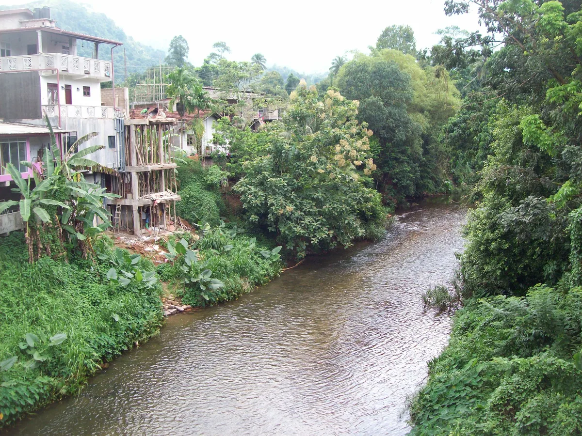 A stream passing through the village of Kitulgala